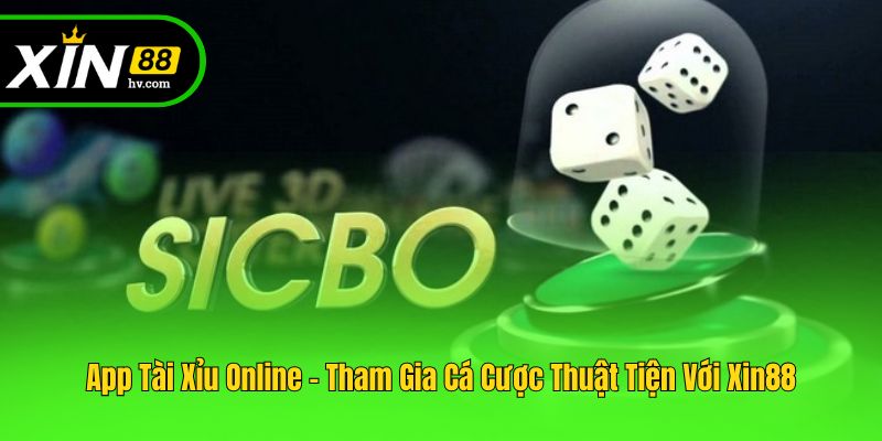 App Tài Xỉu Online - Tham Gia Cá Cược Thuận Tiện Với Xin88
