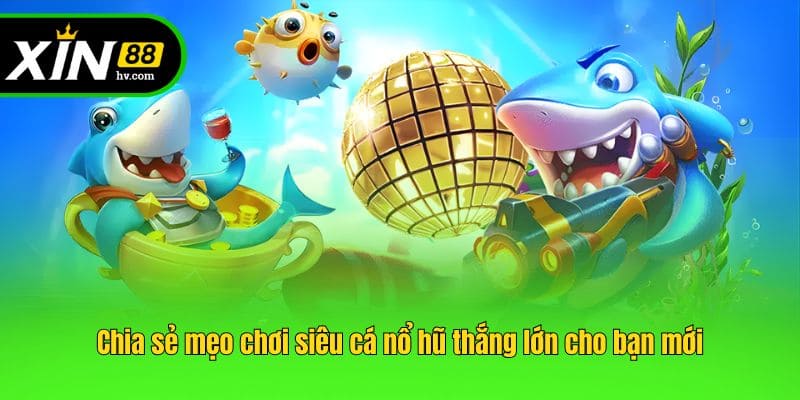 Chia sẻ mẹo chơi siêu cá nổ hũ thắng lớn cho bạn mới