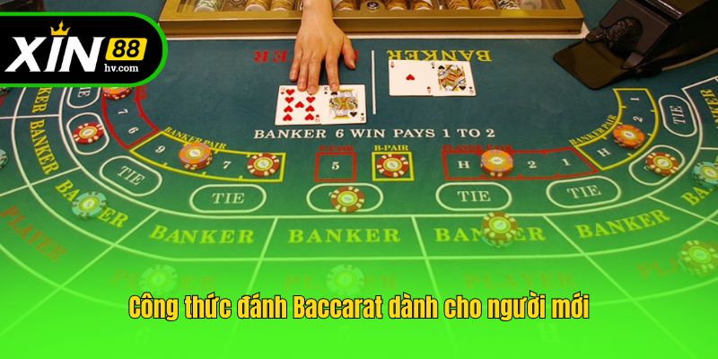Công thức đánh Baccarat dành cho người mới