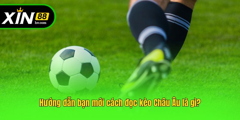 Hướng dẫn bạn mới cách đọc kèo Châu Âu là gì?