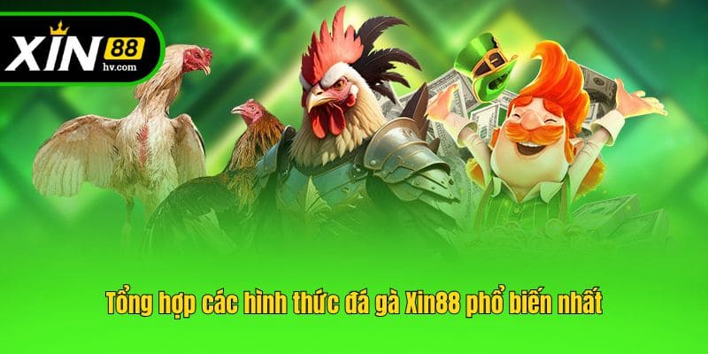 Tổng hợp các hình thức đá gà Xin88 phổ biến nhất
