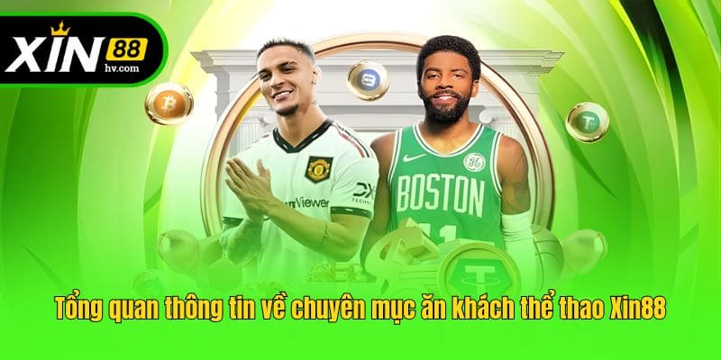 Tổng quan thông tin về chuyên mục ăn khách thể thao Xin88
